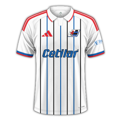 Third Shirt
