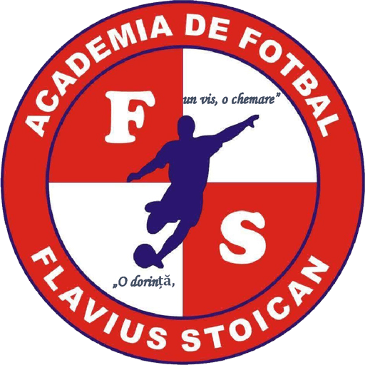Academia Flavius Stoican