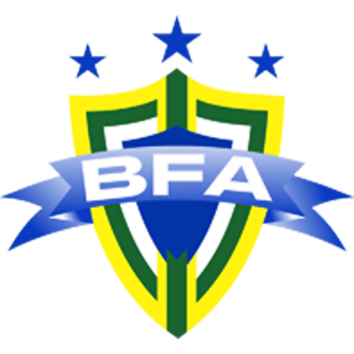 Community Panel Graphics Sign Brasil Futebol Academia Concept Stadium - Football Manager Graphics