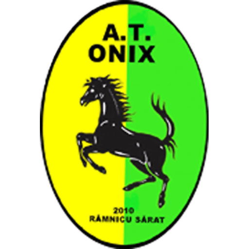 AC Onix Grup Scolar Victor Frunza Râmnicu Sarat