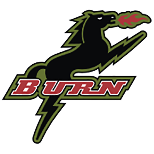 Dallas Burn