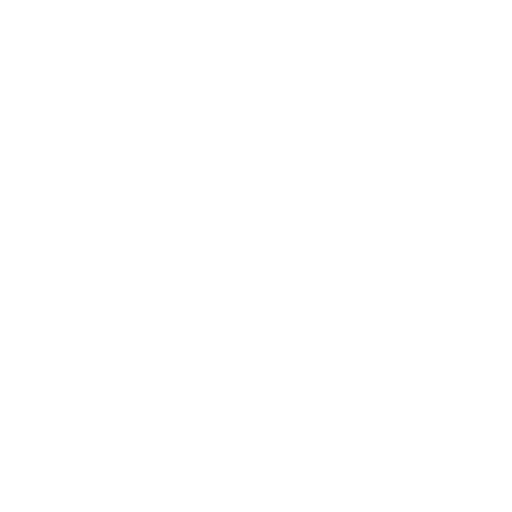 Swansea City