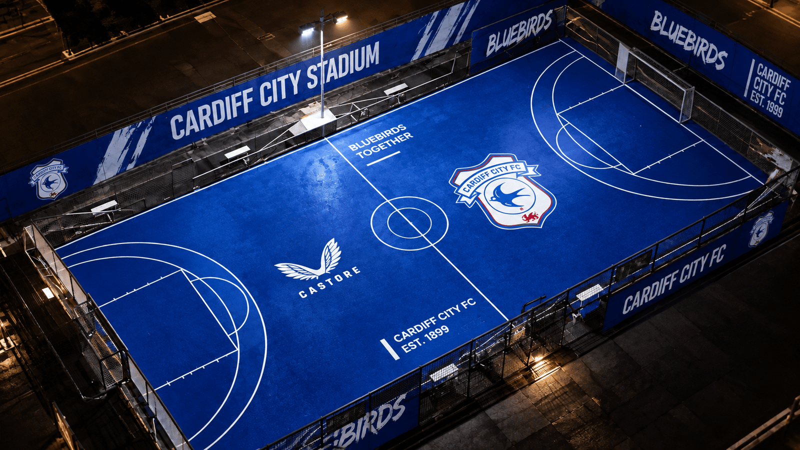 Cardiff City Futsal Arena