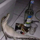 Didoisone