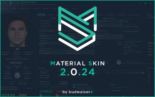 More information about "Material Skin"