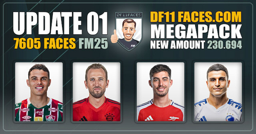 More information about "DF11 Faces FM25 Update 1"