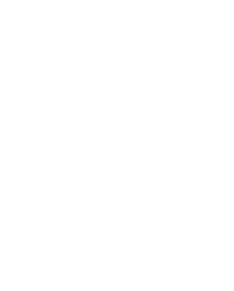 Auckland_FC_Crest.png