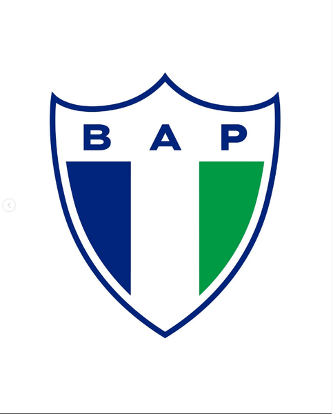 Captura de pantalla 2025-12-10 095542.png