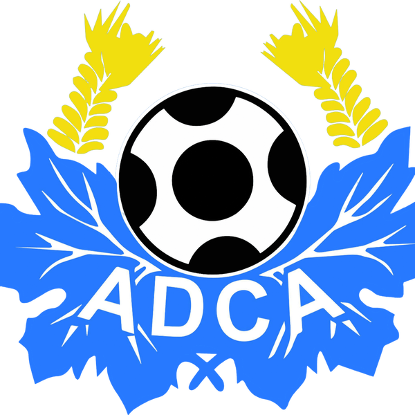 2797 Associação Desportiva Cultural Almalaguês.png