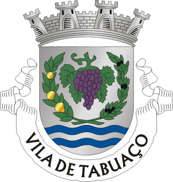 3039 Grupo Desportivo de Tabuaço.png
